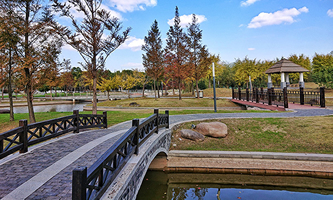 �Ϻ��d���W(xu��)Ժ