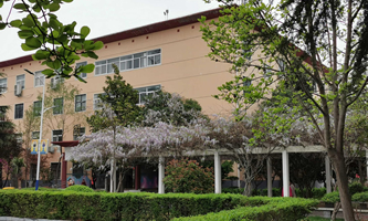 �����Ї����Ƽ��WУ