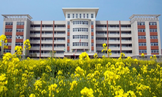 ̫���I(y��)���g(sh��)�W(xu��)У