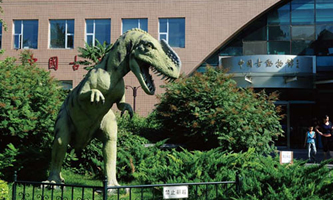 �Ї�(gu��)�ƌW(xu��)Ժ�ż�׵��(d��ng)���c������о���