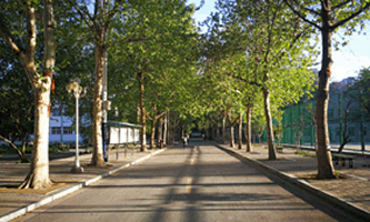 �ӱ����l(xi��ng)���O(sh��)�W(xu��)У