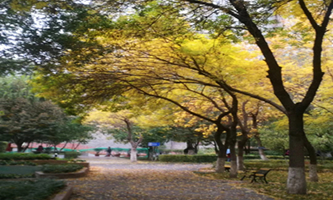 �½�����W(xu��)Ժ