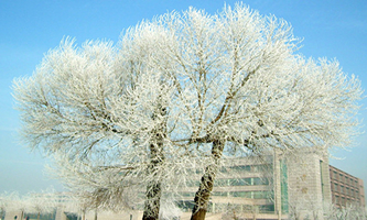 ���֎�����W(xu��)