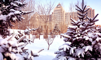 �����I�V�B�W(xu��)Ժ