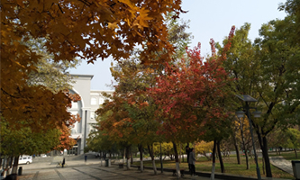 ̫ԭ������W(xu��)