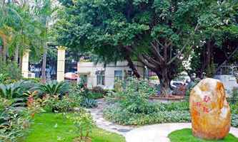 �����и���^(q��)�ʍ��ЌW(xu��)