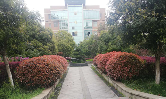 ������I(y��)�еȌ��I(y��)�WУ