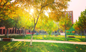 ����е�(y��ng)�ü��g(sh��)��W(xu��)