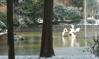 �й��Ϻ���ί�hУ