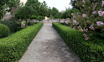 �ӱ���(j��ng)��(j��)����W(xu��)У