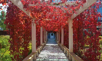 ��Ȫ�I(y��)���g(sh��)��W(xu��)