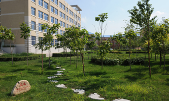 ��c�����WԺ