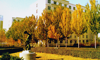 ���������̌W(xu��)Ժ