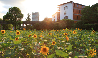 �Ї����g�WԺ��2022��Ƚ������܌W����ƌW�о������Y���Ŀ