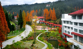 �Ї�����ɽ�ɲ��W(xu��)Ժ