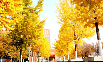 �����ڶ�����Z�W(xu��)Ժ����Ƶ����W(xu��)Ժ