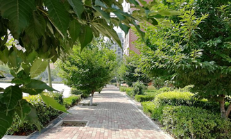 ���T�{����݅^(q��)�еȌ��I(y��)�W(xu��)У