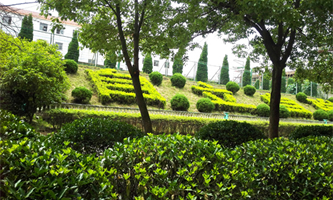 ̫����(d��ng)���I(y��)���g(sh��)�W(xu��)У