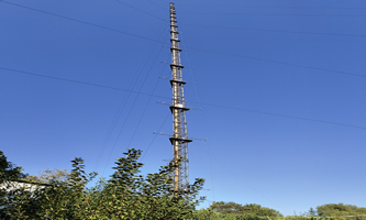 �Ї��ƌW(xu��)Ժ��������о���